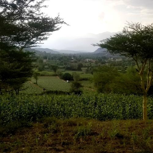 Photo #5011053
