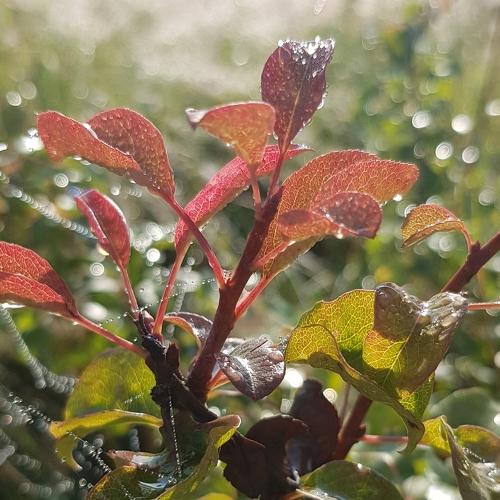 Photo #5011096