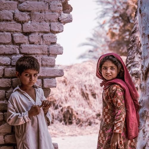 Photo #5011309