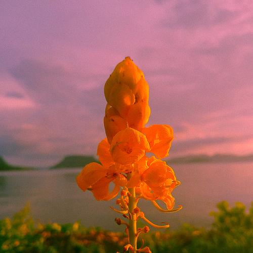 Photo #5011324