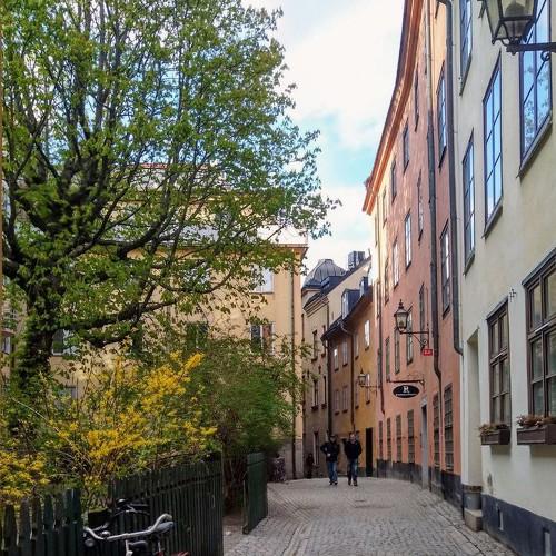 Photo #5011593