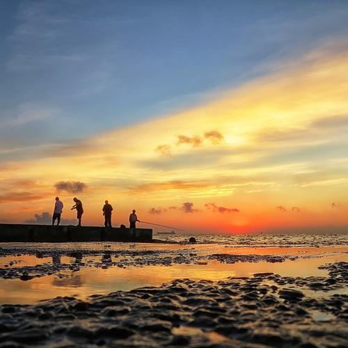 Photo #5011841