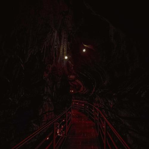 Photo #5011873