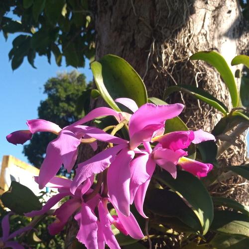 Photo #5012211