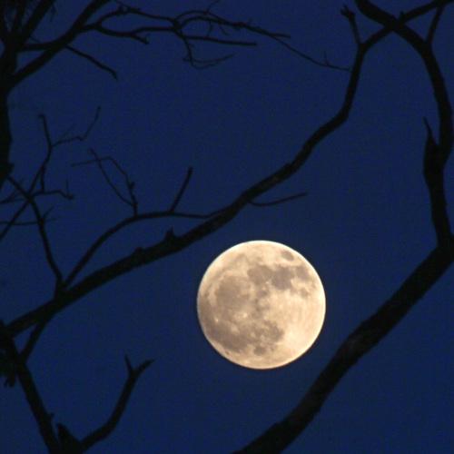 The beauty view of full moon