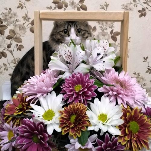 Photo #5014000