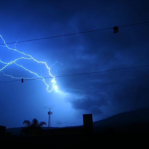 Photo #5014461
