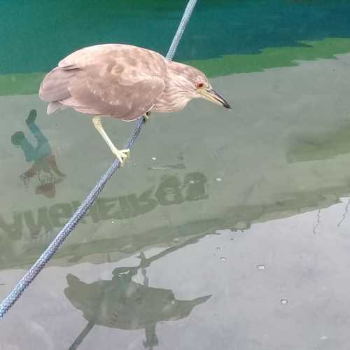 Photo #5014476