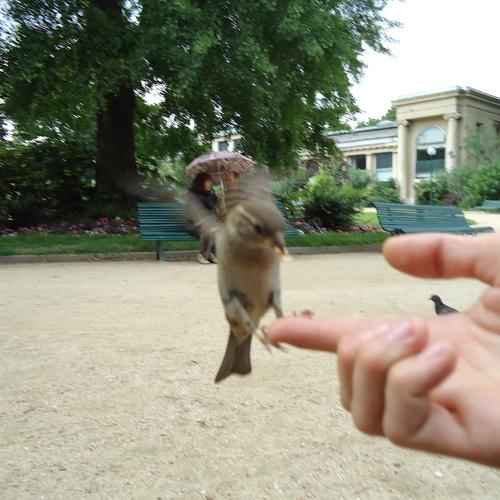 Photo #5014505