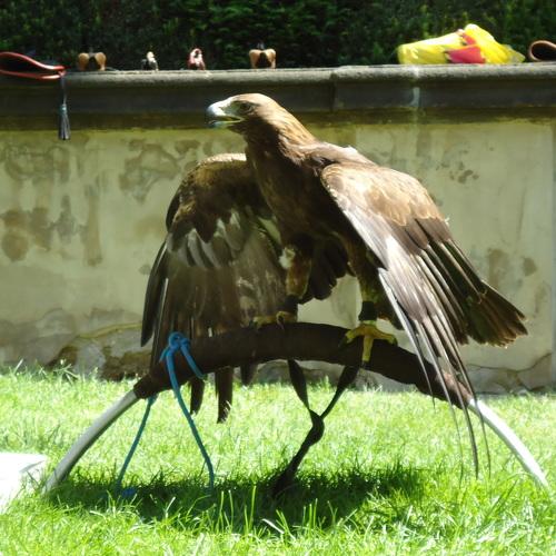 Photo #5014513
