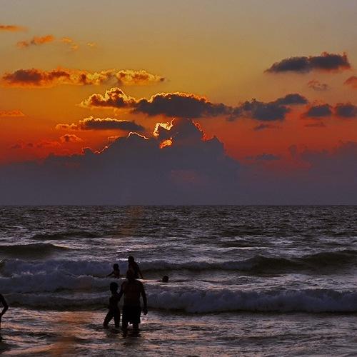 Photo #5014559