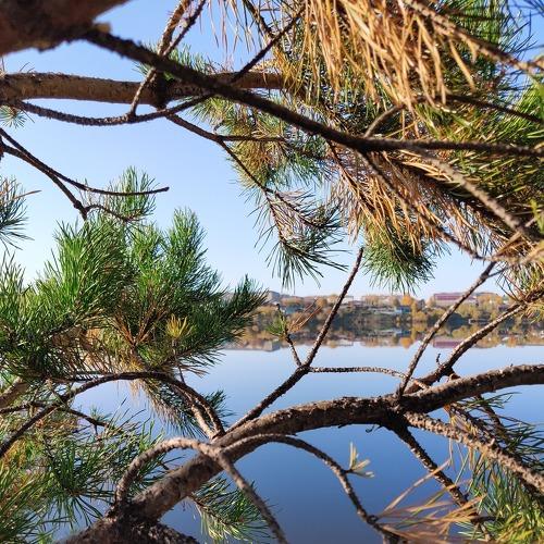 Photo #5014862