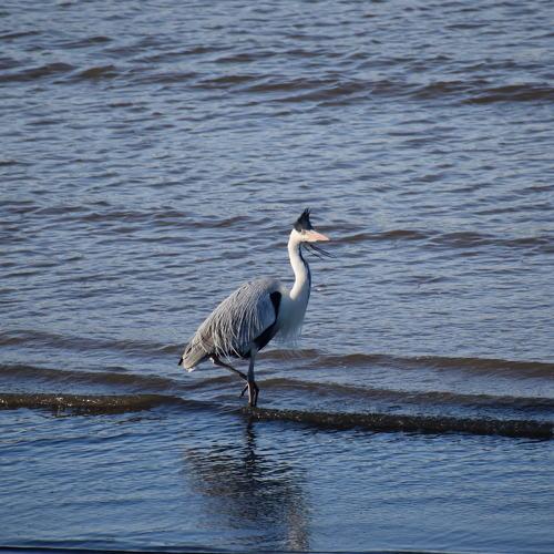 Photo #5015355