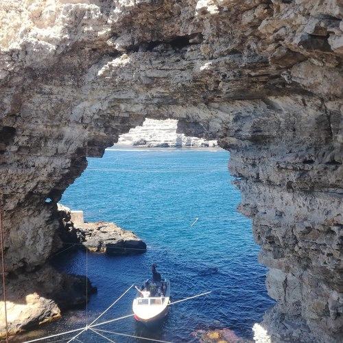 Photo #5015365