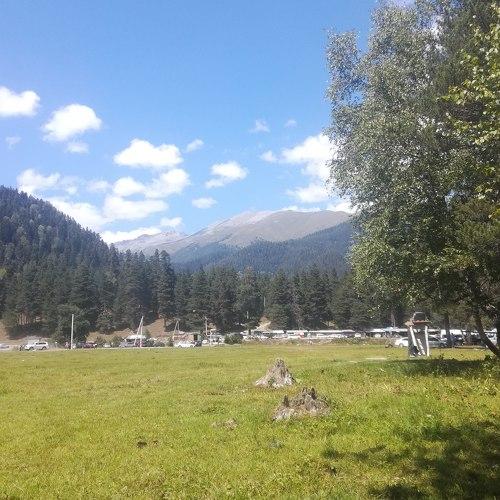 Photo #5015366