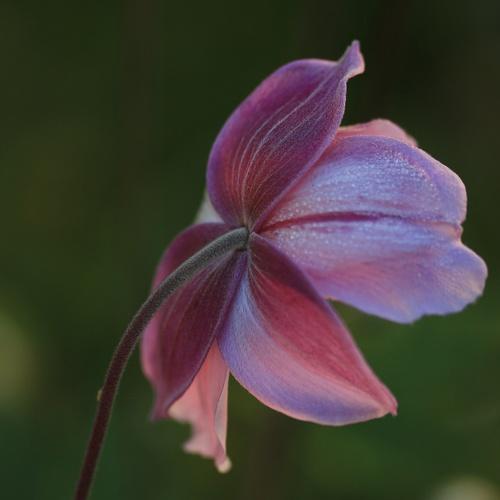 Photo #5015534