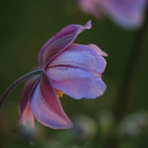 Photo #5015543