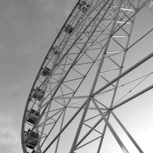 Photo #5015599
