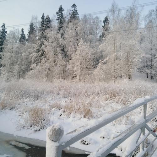 Photo #5015902