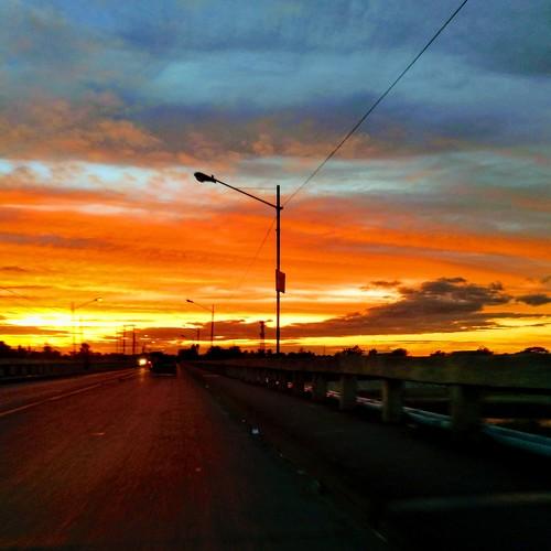 Photo #5016037