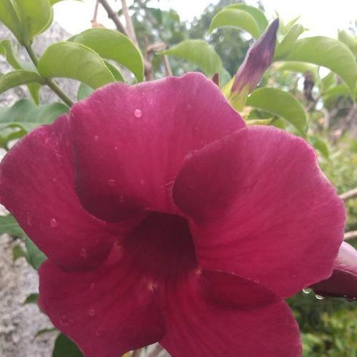 Photo #5016139