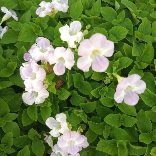 Photo #5016140