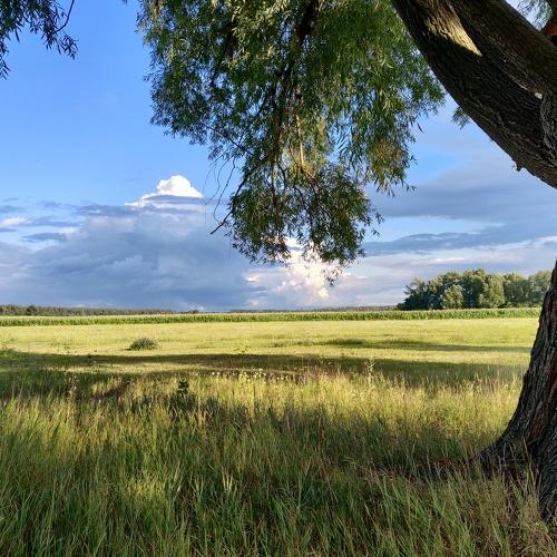 Photo #5016394