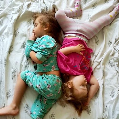 Photo #5016413