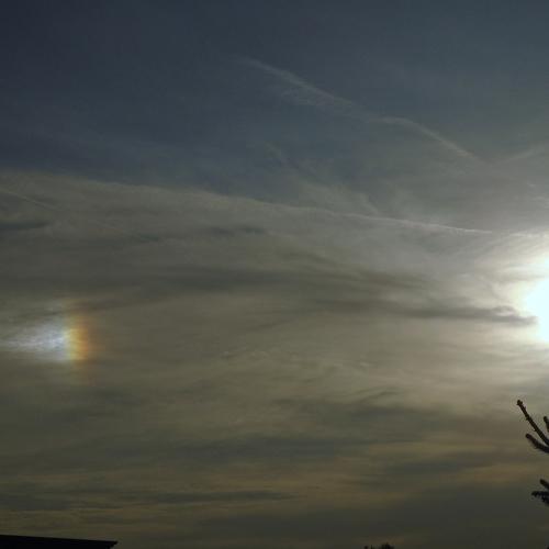 Photo #5016588