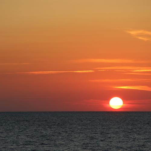 Photo #5016660