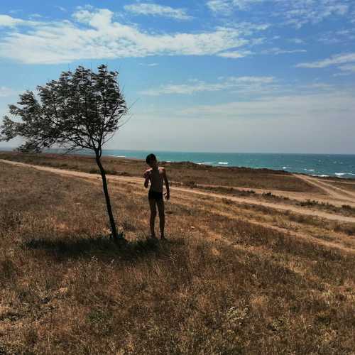 Photo #5016829