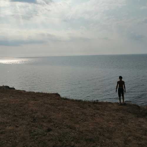 Photo #5016833