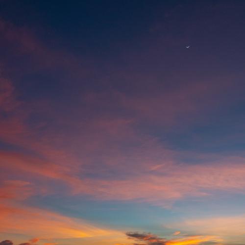 Photo #5017364