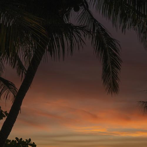 Photo #5017365