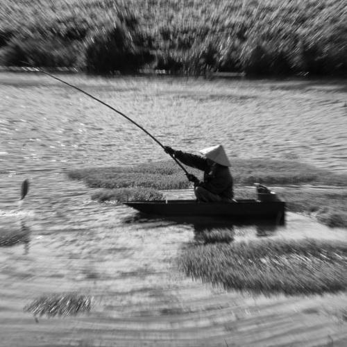 Photo #5017411