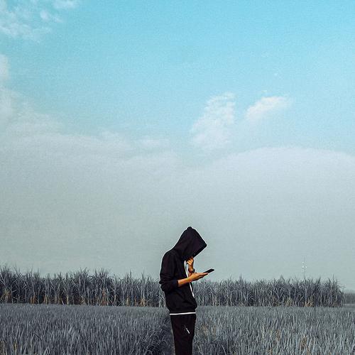 Photo #5017509