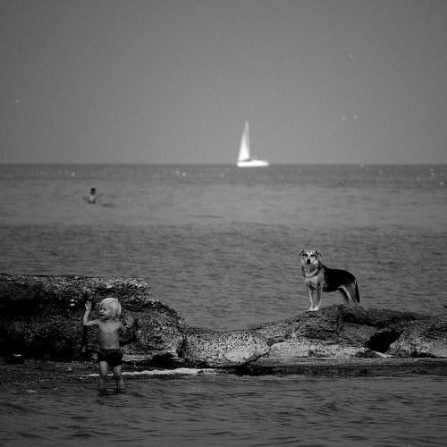 Photo #5017840