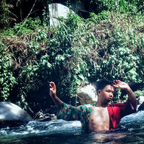 Photo #5017942