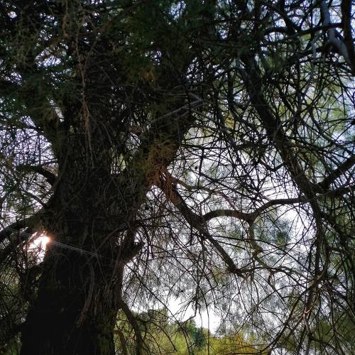 Photo #5018185