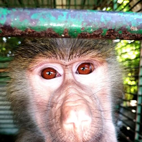 Photo #5018201