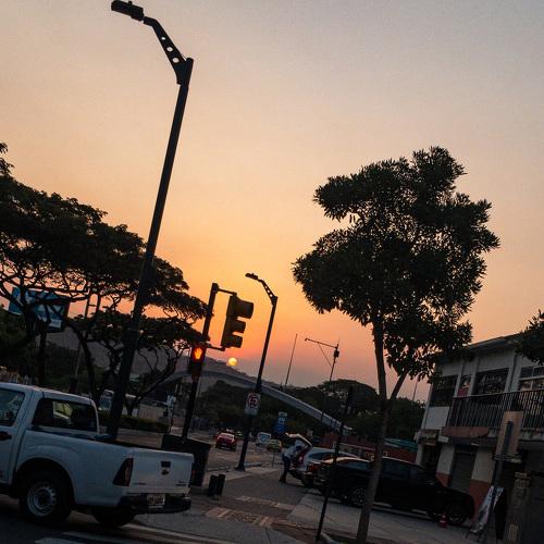 Photo #5018993