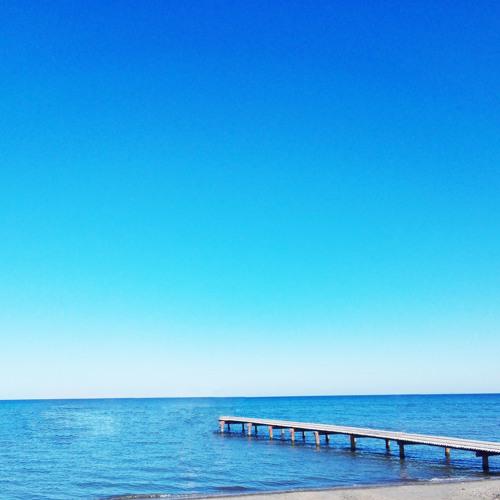 Photo #5019203