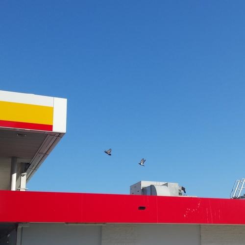 Photo #5019231