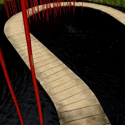 Photo #5019234