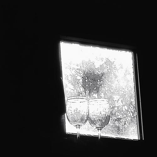 Photo #5019425