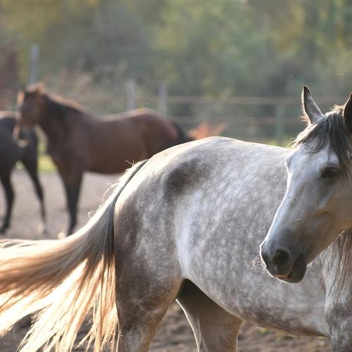 Photo #5019553