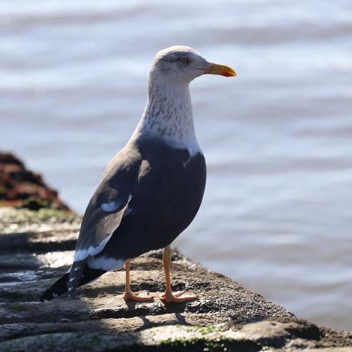 Photo #5020314
