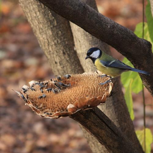 Photo #5020319