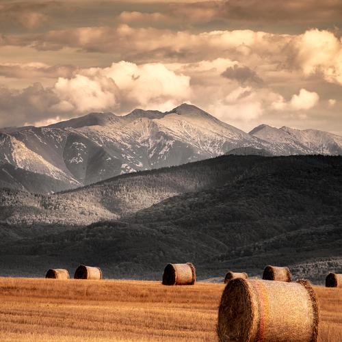 Photo #5020528