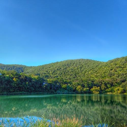 Photo #5020728